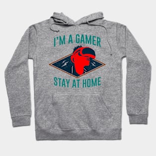 I Am The Ultimate Gamer Hoodie